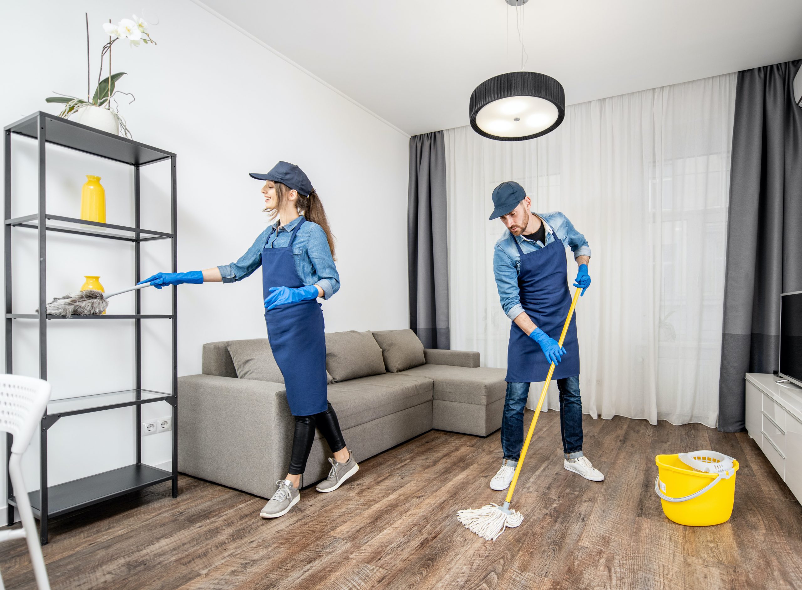 Household Cleaners and Professional Cleaners