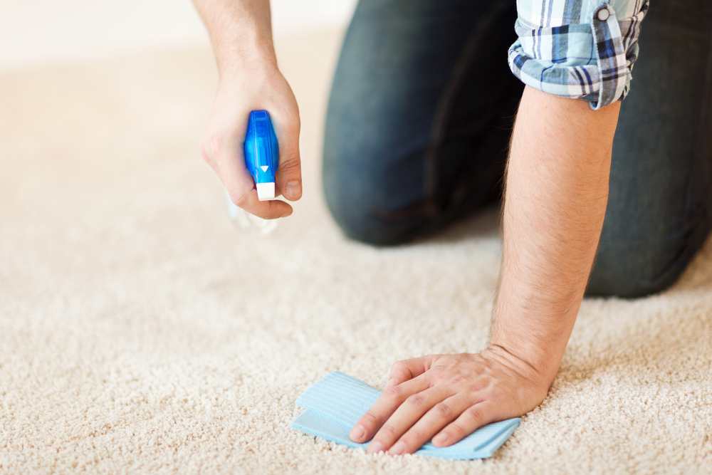 How To Get Stains Out Of Carpet | Clean My Space CT