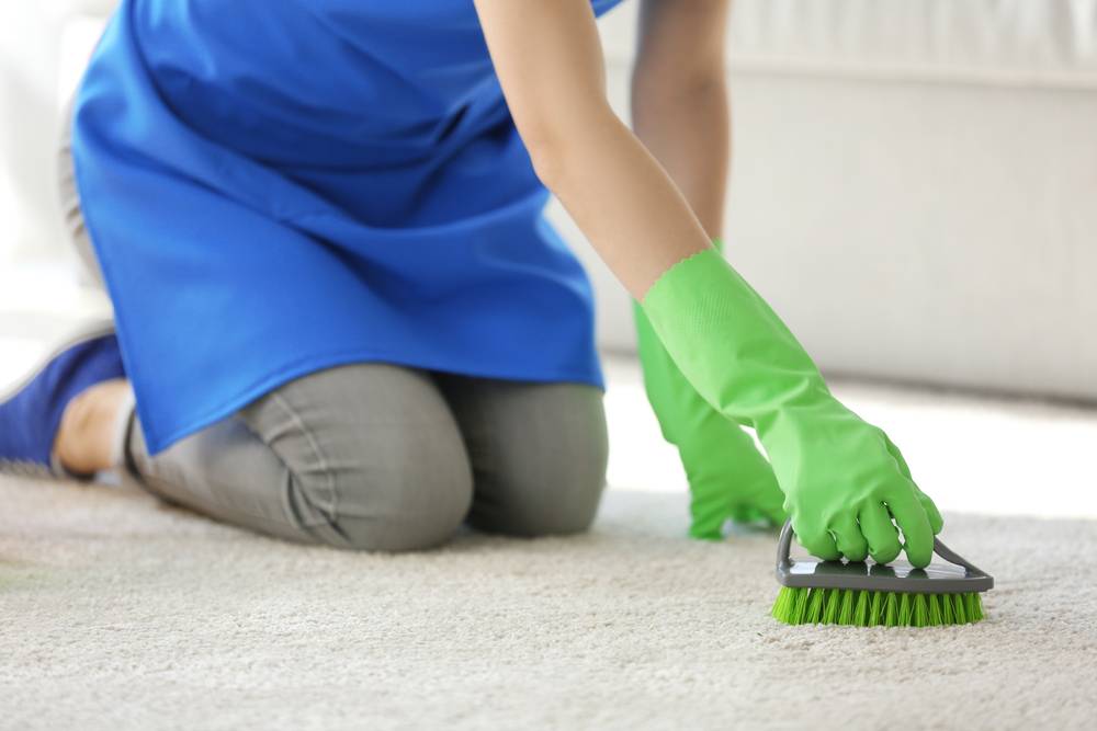 How to Clean and Disinfect Carpets | Clean My Space CT