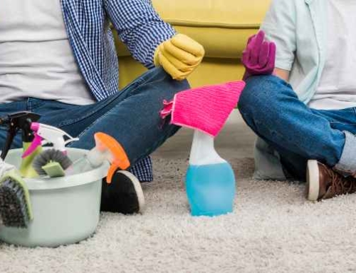 How to Clean Carpet Stains Like a Professional