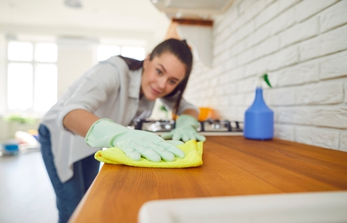 burlington house cleaning services