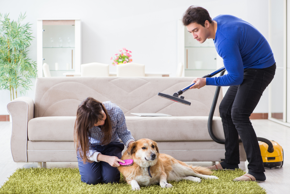 How do I get rid of a strong pet smell in my house